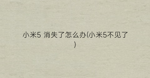 “小米5消失了怎么办(小米5不见了)